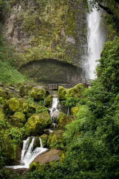 Hermoso paisaje de un bosque con increíbles cascadas brillantes — Foto de Stock