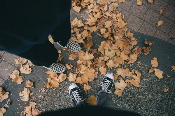 Çimento üzerinde düşmüş yaprakların üzerinde duran spor ayakkabı giyen iki kişinin ayakları — Stok fotoğraf