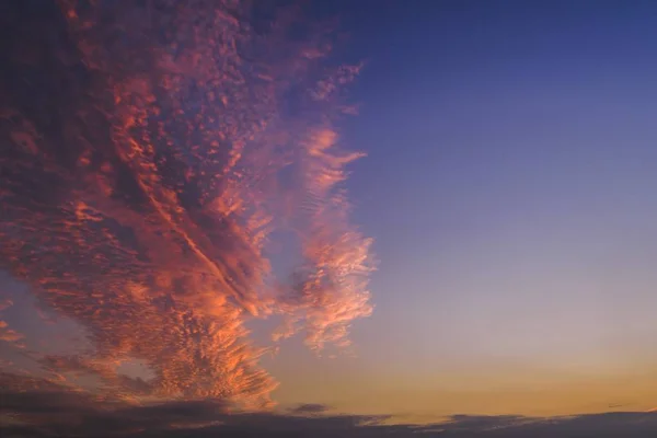 Beautiful shot of a pink and purple clouds in the sky on clear blue background — Stock Photo, Image