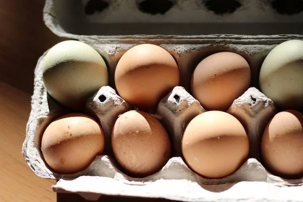 Close up over head shot of yellow and white eggs in an egg carton — Stock Photo, Image