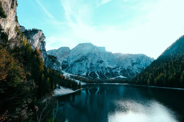 Dağların ortasında ağaçlarla çevrili bir göl. — Stok fotoğraf