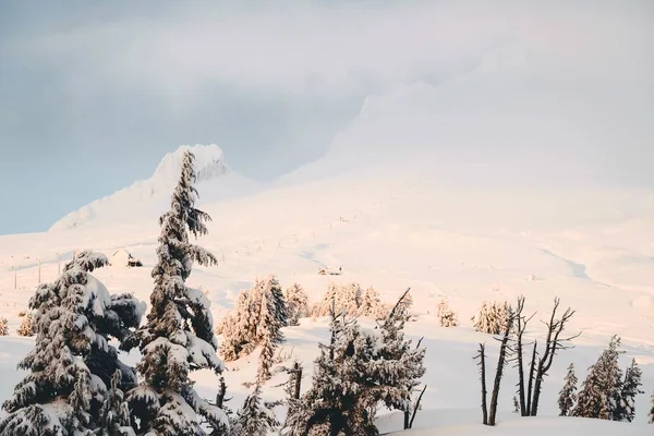 白い雪に覆われ 澄んだ空の下で噴き出す山々の広いショット — ストック写真