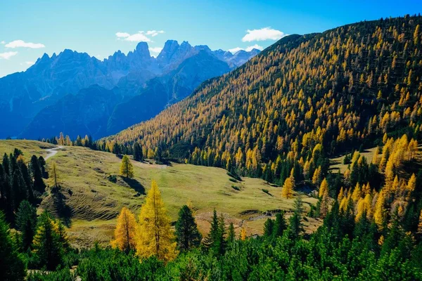 美丽的草地拍摄与黄色和绿色的树木在山上与山和蓝天 — 图库照片