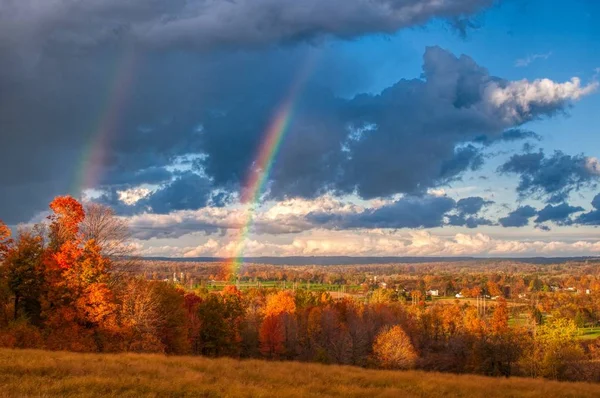 Beautiful scenery of a large forest with a breathtaking double rainbow visible in the sky — Stock Photo, Image