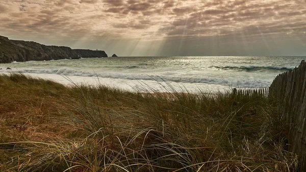 Eine Schöne Aufnahme Des Meeres Aus Einem Feld Mit Atemberaubenden — Stockfoto