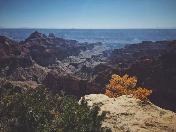 Smukt skud af Grand Canyon nationalpark nord rand på en solrig dag - Stock-foto