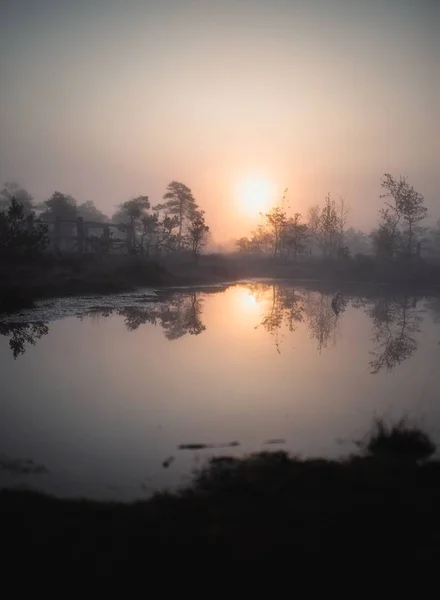 Gün batımında güneşin yansıması ve etrafındaki ağaçlarla dolu göl. — Stok fotoğraf