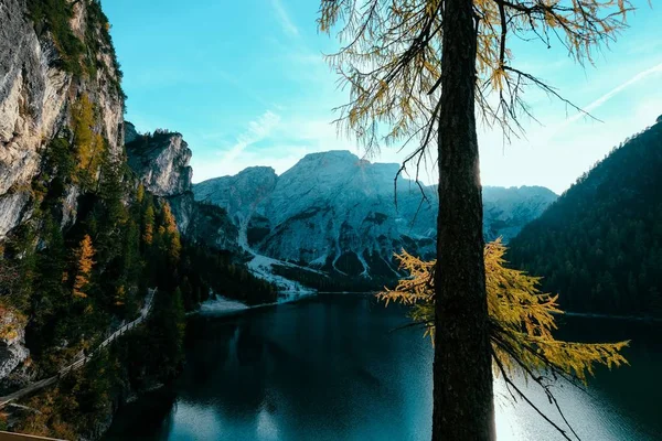 Uma Árvore Perto Água Cercada Por Montanhas Arborizadas Uma Montanha — Fotografia de Stock