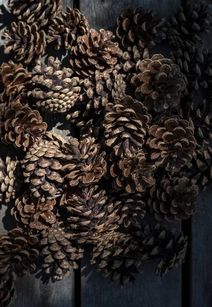 Closeup of beautiful pinecones piled up together in a dark place — Stock Photo, Image
