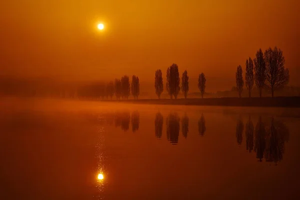 Hermosa toma de un lago de niebla con árboles en tierra y reflejos al atardecer —  Fotos de Stock