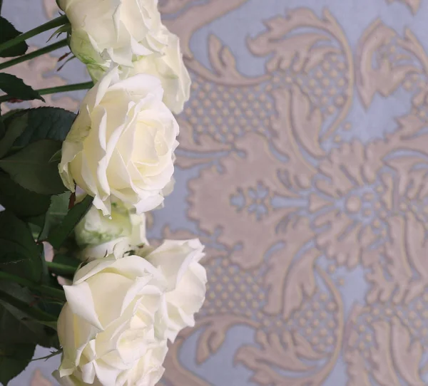 Un bouquet de roses blanches — Photo