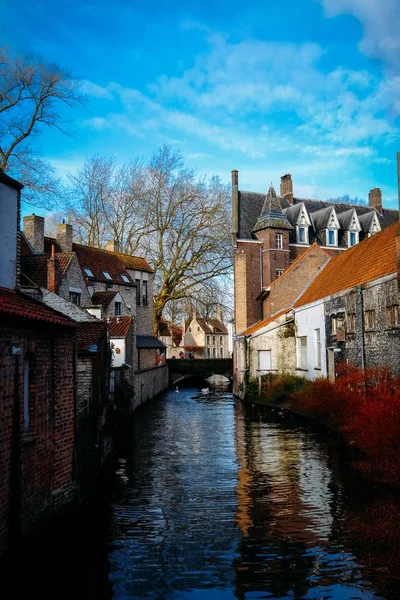 Verticaal schot van het water in het midden van rode planten en gebouwen onder een blauwe hemel — Stockfoto