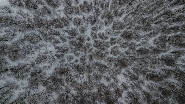 Hermoso Tiro Dron Colinas Nevadas — Foto de Stock