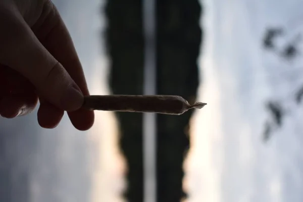 Person holding a marijuana joint with a blurred  natural background — Stock Photo, Image