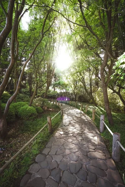 黄金の門公園で太陽の光が輝く木々の真ん中の歩道の垂直ショット — ストック写真
