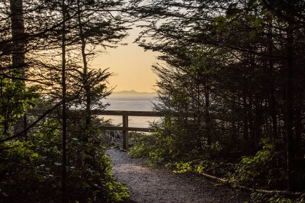 Belo tiro de um caminho entre árvores perto do litoral — Fotografia de Stock
