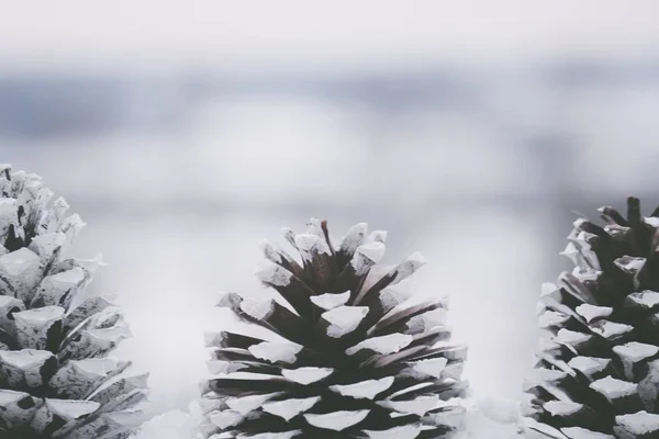 Nahaufnahme schöner weißer Tannenzapfen im Schnee mit verschwommenem Hintergrund — Stockfoto