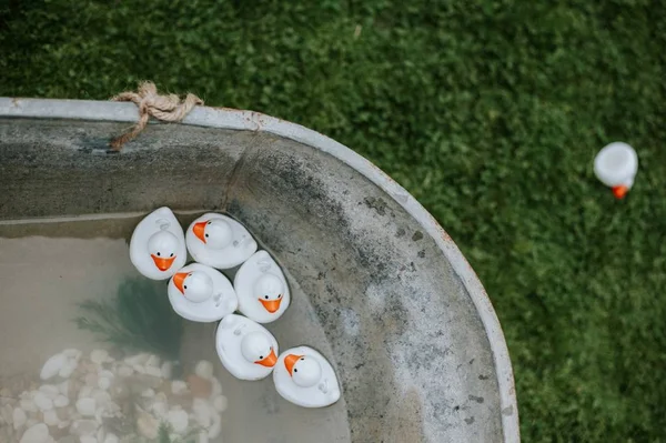 Schüsse auf weiße Plastik-Entenspielzeuge in einer Badewanne im Freien — Stockfoto