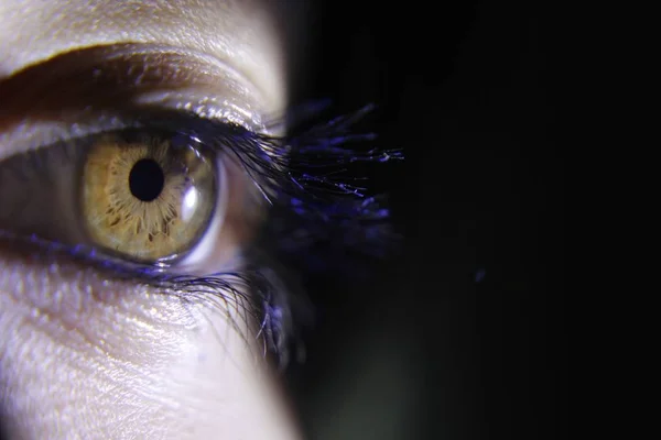 Close-up van een mooi vrouwelijk oog met lange wimpers — Stockfoto