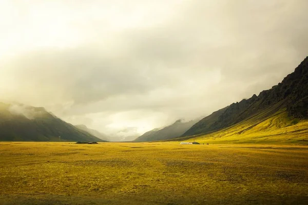 Красивое золотое поле с удивительным облачным фоном — стоковое фото