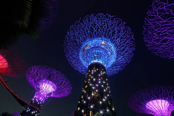 Eine Schöne Aufnahme Der Hohen Architektonischen Gebäude Der Singapore Gärten — Stockfoto