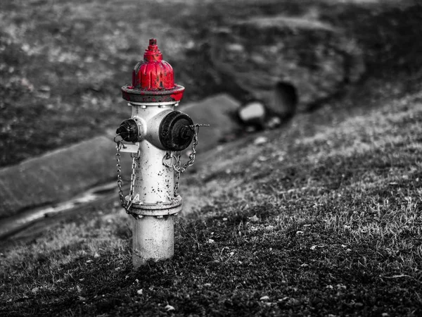 Foto en blanco y negro de una boca de incendios con una tapa roja —  Fotos de Stock