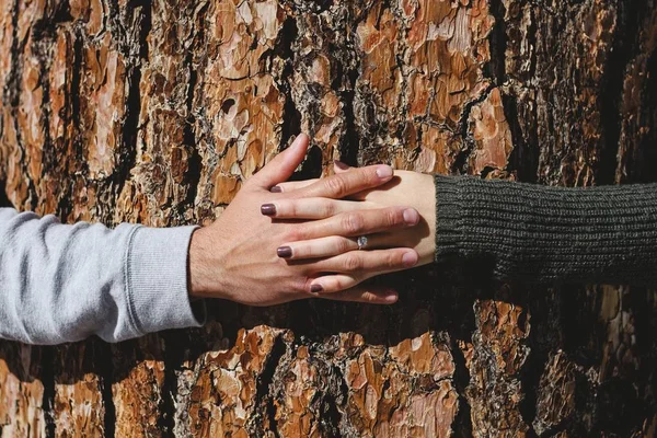 a female hand with diamond ring and a male linking hands on the background of a tree trunk