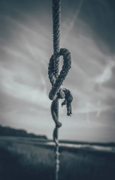Närbild gråskala skott av en rep Knut med en suddig naturlig bakgrund — Stockfoto