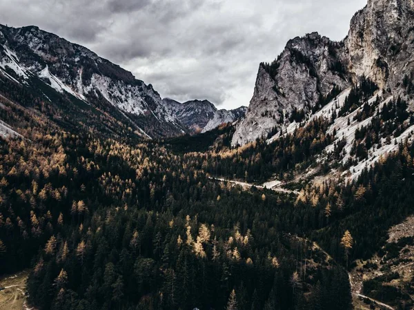 Arasında Orman Olan Güzel Yüksek Kayalık Dağlar — Stok fotoğraf