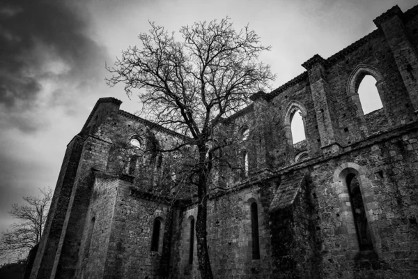 Baixo ângulo tiro de ruína com janelas tipo arqueado perto de uma árvore alta em preto e branco — Fotografia de Stock