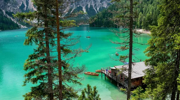 Bellissimo Scatto Lago Con Foresta Montagne Con Riflesso Acqua — Foto Stock