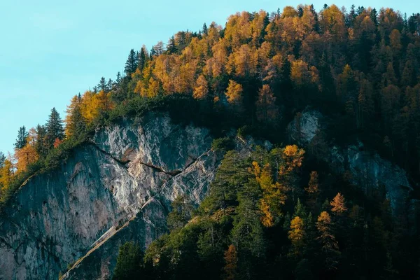 Arka planda mavi gökyüzü ile bir dağ üzerinde sarı ve yeşil ağaçların güzel bir çekim — Stok fotoğraf
