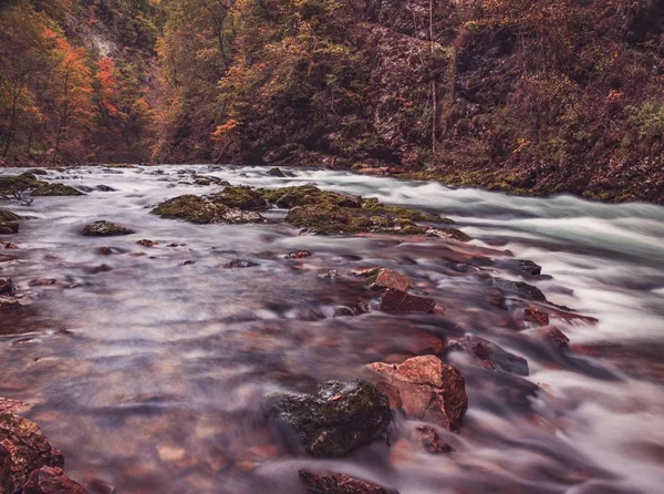 Podzimní Scenérie Vintgar Gorge Slovinsku Podzimní Listí Říční Potok Pod — Stock fotografie