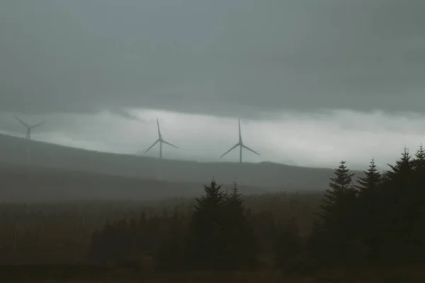Ampia ripresa di abeti rossi e turbine eoliche sotto un cielo nebbioso — Foto Stock