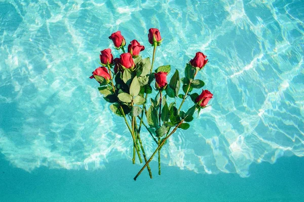 Bunch of red roses hovering on the water with a beautiful blue watery background