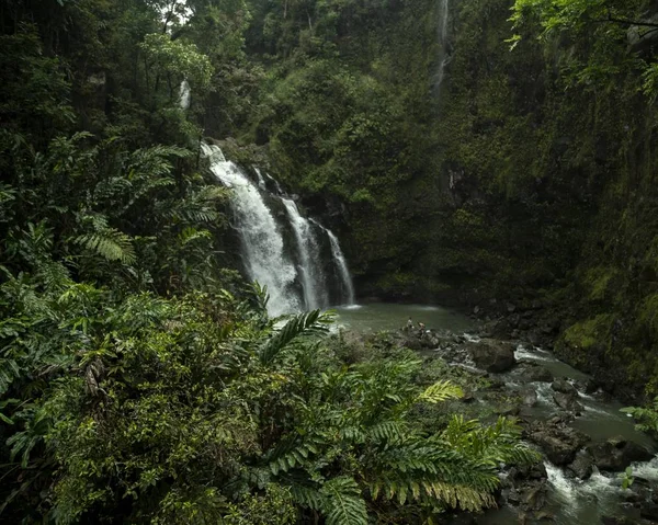 Belo tiro de uma cachoeira em uma selva tropical cercada por vegetação — Fotografia de Stock