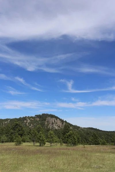 Függőleges lövés egy füves területen fákkal és egy hegy kék ég a háttérben — Stock Fotó