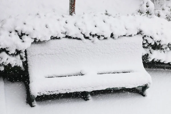 被雪覆盖的长椅 — 图库照片