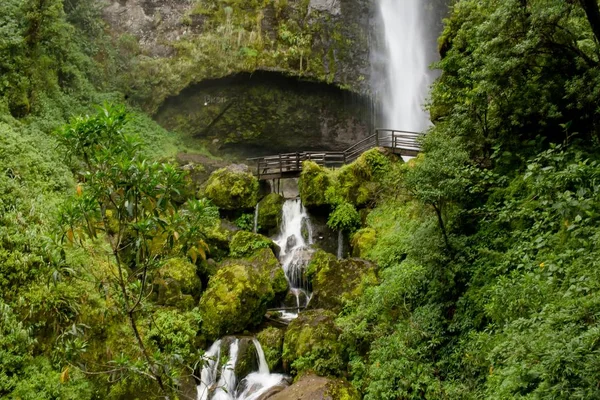 Hermoso paisaje de un bosque con increíbles cascadas brillantes — Foto de Stock