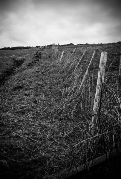 Valla de madera y alambre de púas en un gran campo en el camino a Mam Tor, Inglaterra — Foto de Stock