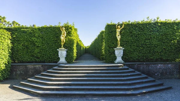 Schöne Aufnahme von Treppen mit zwei goldenen Status und einem Weg inmitten von Heckenpflanzen — Stockfoto