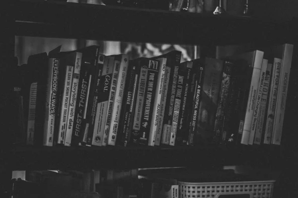 Scatto in bianco e nero di libri assortiti in ordine su una libreria — Foto Stock