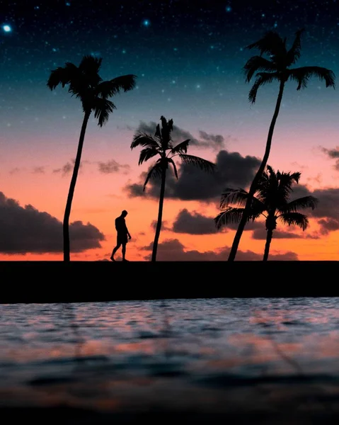 Σιλουέτα ενός αρσενικού που περπατάει στην ακτή της όμορφης θάλασσας με φοίνικες και εκπληκτικά αστέρια — Φωτογραφία Αρχείου