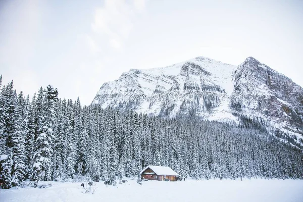 A hut in a snowy field with rocky mountains and a forest — ストック写真