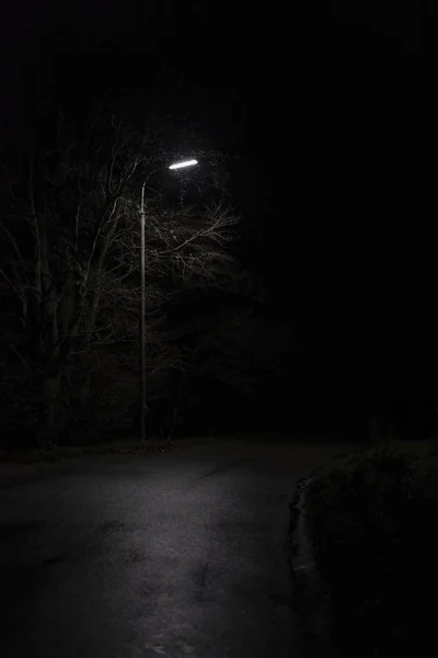 Un parc sombre avec une seule lampe de nuit — Photo