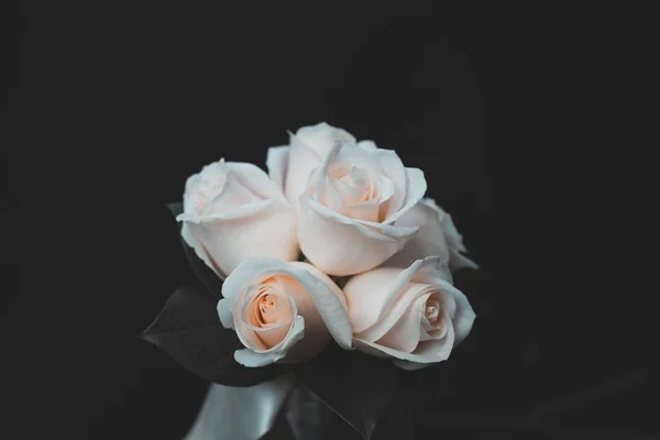 Hermoso tiro de ramo de flores de rosa blanca — Foto de Stock