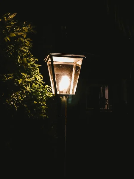 Вулична лампа з деревом поруч з нею в парку — стокове фото