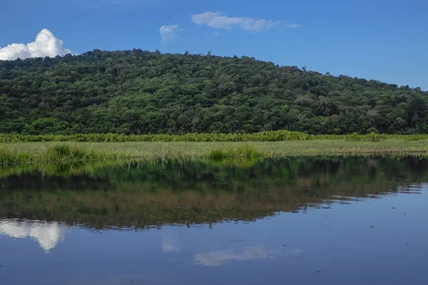 Kaw Marsh, Marais de kaw, Guiana Francese, Francia — Foto Stock