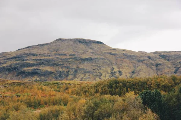 美丽的田野与高山和丘陵的背景 — 图库照片