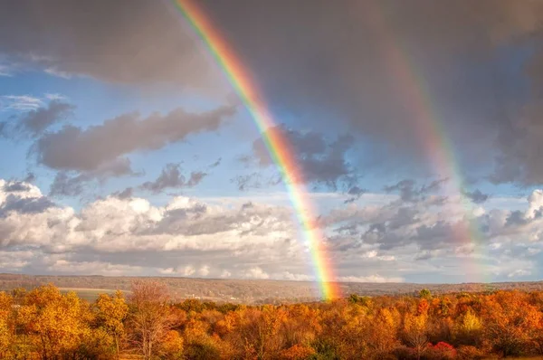 Hermoso paisaje de un gran bosque con un impresionante arco iris doble visible en el cielo —  Fotos de Stock